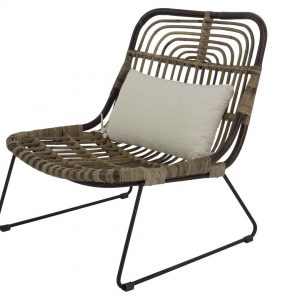 C1025DBR 300x300 - WS Home