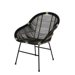 C1050B 300x300 - WS Home