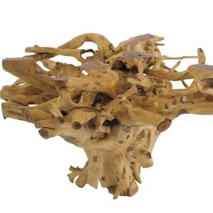 Xstore Placeholder 1x1